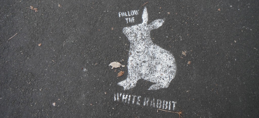 follow white rabbit stencil